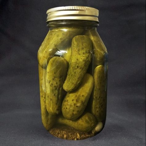 Those extra hot pickles from Terinis Deli Pickles Aesthetic, Sweet Dill Pickles, Kosher Pickles, Garlic Dill Pickles, Hot Pickles, Mixed Pickle, Pickled Okra, Pickle Slices, Peach Salsa