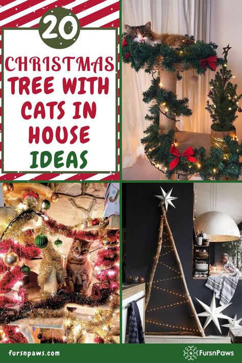 Cat christmas tree Cat Safe Christmas Tree, Christmas Tree Alternative Ideas, Cat Proof Christmas Tree, Christmas Tree Alternative, Small Space Christmas Tree, Christmas Tree Designs, Christmas Tree Base, Wall Christmas Tree, Cat Proofing