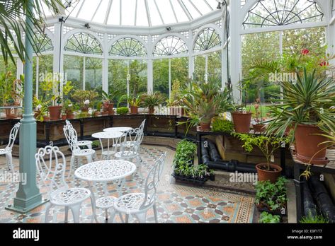 Download this stock image: The Victorian Conservatory at Preston Park Museum Eaglescliffe Stockton on Tees - E0F1T7 from Alamy's library of millions of high resolution stock photos, illustrations and vectors. Victorian Conservatory Interior, Conservatory Flooring, Victorian Conservatory, Victorian Greenhouses, Stockton On Tees, Aquatic Garden, Greenhouse Interiors, Victorian Tiles, Conservatory Dining