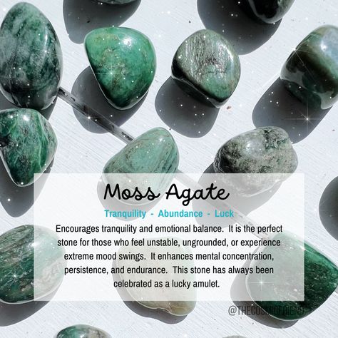 Moss Agate gets its name from having green-colored minerals throughout that takes on a similar look to moss. This stone has always been celebrated as a lucky amulet. European farmers in the 18th century would hang the stone from branches of their trees, believing this would bring an abundance of harvest. Green Moss Agate Crystal Meaning, Moss Agate Aesthetic, Moss Agate Crystal Meaning, Moss Agate Meaning, Crystal Knowledge, Agate Crystal Meaning, Crystal Magick, Agate Meaning, Moss Agate Crystal