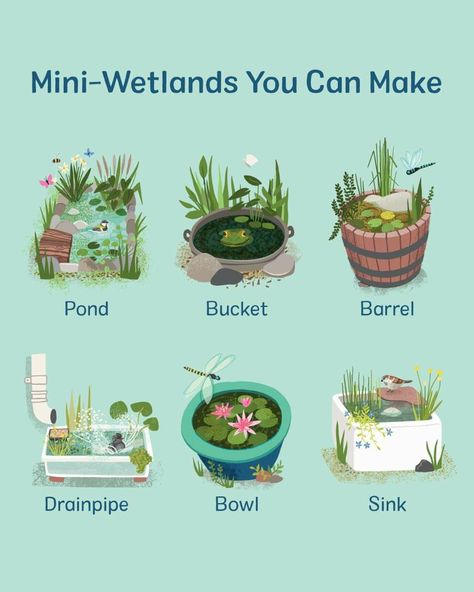 Wildlife Pond, Backyard Landscaping Ideas, Diy Garden Projects, Pretty Plants, Plant Mom, Small Backyard Landscaping, Ideas Photo, Dream Garden, Water Garden