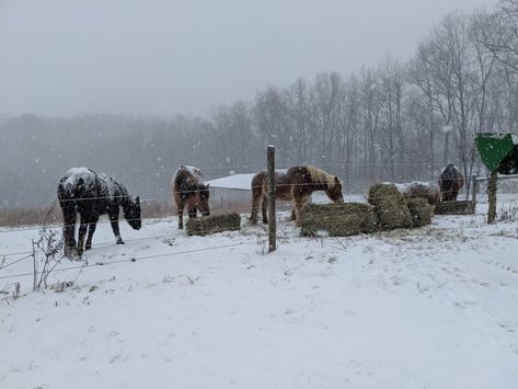 Dinner and some snow Winter On The Farm, Snowy Farm, Ranch Aesthetic, Farm Ranch, Food Clothes, Snowy Winter, Country Farm, Winter Aesthetic, Ranch Dressing