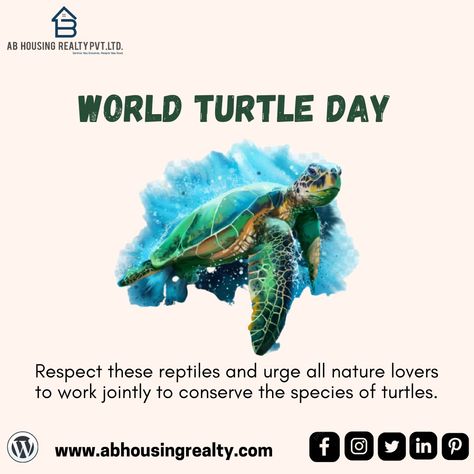 Respect these reptiles and urge all nature lovers to work jointly to conserve the species of turtles 🐢🐢🐢 World Turtle Day 🐢🐢 #abhousingrealtypvtltd #turtles #worldturtleday #reptiles #nature #species World Turtle, World Turtle Day, Turtle Day, Increase Knowledge, So Many People, Creative Ads, May 23, Nature Lovers, Sea Turtle