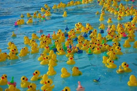 rubber duck races | Visit Kokomo Blog Kokomo Beach, Duck Race, Race Writing, Collateral Beauty, North Carolina Beaches, Washed Ashore, Rubber Duckies, Theme Days, Kiddie Pool