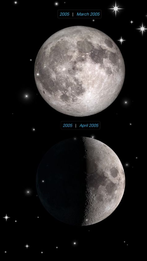 Lion, Celestial Bodies, Moon, Wallpapers, Quick Saves