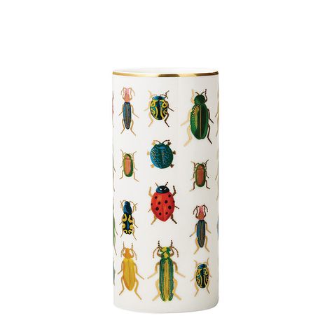 RIFLE PAPER CO. | Beetles & Bugs Cylinder Vase Bug Themed Bathroom, Insect Home Decor, Bug Pottery, Insect Ceramics, Colorful Bugs, Jonathan Adler Gold Vase Insect, Scientific Drawing, Apartment Things, Beetle Bug