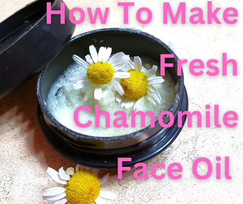 How To Make Chamomile Face Oil Face Cream Recipe, Tighten Skin, Reduce Hyperpigmentation, Chamomile Oil, Clearer Skin, Tighten Pores, Virgin Coconut Oil, Chamomile Flowers, Face Oil