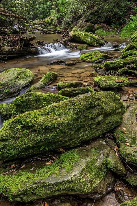 Cascades at the Tucquan Glen Nature Preserve, Lancaster County, Pennsylvania Pa Aesthetic, Pennsylvania Landscape, Waterfalls Photography, Landscaping Around Trees, Aquascape Design, Lancaster County Pennsylvania, Aquarium Landscape, World Water, Waterfall Photography