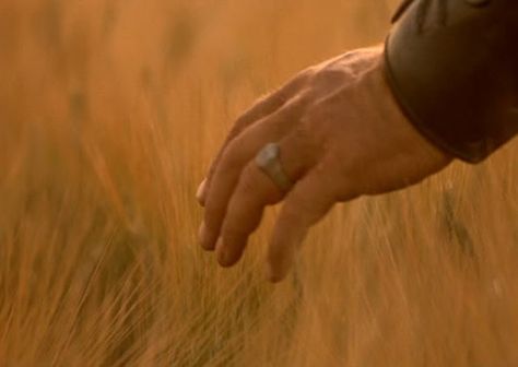 Ring from Gladiator. Russell Crowe Gladiator, Gladiator Movie, Ella Enchanted, Blair Witch, Ancient Statues, Russell Crowe, Ridley Scott, Wheat Field, Field Of Dreams