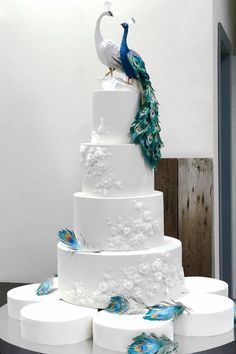 Wedding Cake Peacock, Peacock Wedding Inspiration, Gay Wedding Cakes, Peacock Wedding Cake, Peacock Cake, Fancy Wedding Cakes, Silver Wedding Cake, Peacock Wedding Theme, Big Wedding Cakes