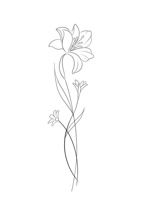 Simple Line Lily Tattoo, Daffodil Tattoo Drawing, Inside Elbow Tattoos For Women Words, Flower Single Line Drawing, Tattoos Of Lily Flowers, Lily Flower Spine Tattoo, Tiger Lily Drawing Simple, Iris Song Tattoo, Fine Line Floral Tattoos