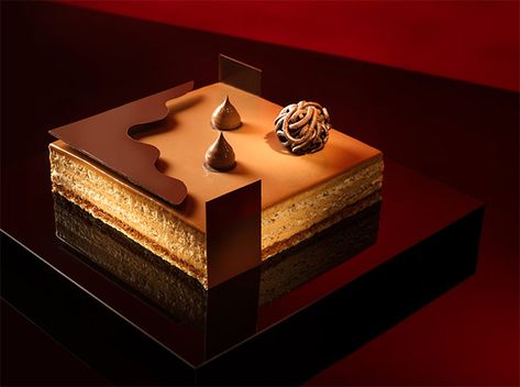 Hazelnut praline by Richard Long - Pastry Recipes in So Good Magazine Chocolate Hazelnut Entremet, Pastry Cake Recipes, Entremet Recipe, Chocolate Brioche, Pastry Ideas, Praline Cake, Caramel Mousse, European Butter, Sweet Station