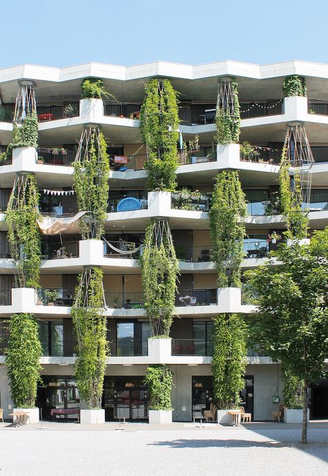 23 Spots You Shouldn’t Miss in Zürich If You Love Architecture | Virginia Duran Green Architecture Concept, Green Building Architecture, Biophilic Architecture, Eco Buildings, Green Apartment, Green Facade, Eco Architecture, Apartment Architecture, Green Architecture