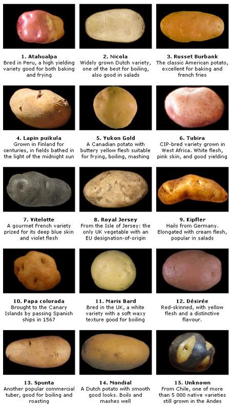 Potato Varieties Potato Chart, Spuds Potatoes, Benefits Of Potatoes, Potato Varieties, Tomato Nutrition, Types Of Potatoes, Matcha Benefits, Pantothenic Acid, Food Info