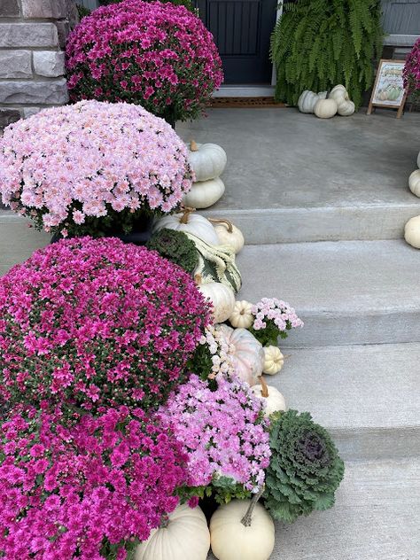 Porch Decorations For Fall, Fall Potted Plants, Fall Container Plants, Front Porch Decorations, Fall Pots, Purple Mums, Fall Container Gardens, Fall Mums, Fall Containers