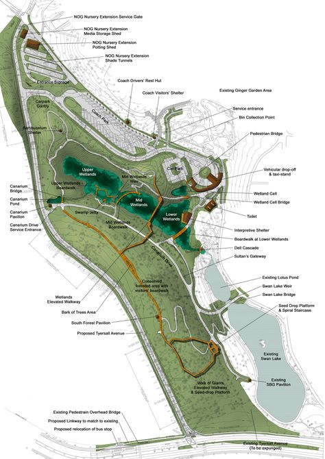 Learning Forest at Singapore Botanic Gardens — Stephen Caffyn Landscape Design Wetland Park Masterplan, Landscape Design Masterplan, Forest Landscape Design, Masterplan Design, Singapore Landscape, Landscape Architecture Plan, Singapore Botanic Gardens, Wetland Park, Ecology Design