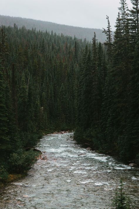 River running through a cold northern forest in the Canadian Rockies. Environment Studies, Cold Forest, Canadian Forest, Forest Cabin, Architecture Ideas, Building Material, Canadian Rockies, Forest River, Rocky