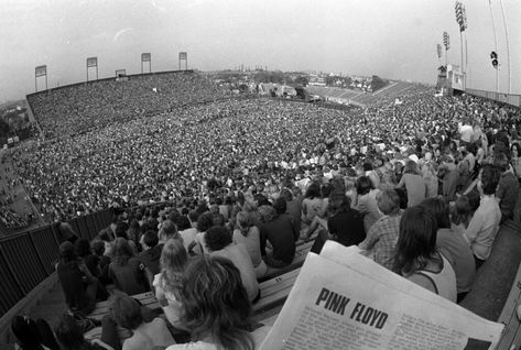 Crowd at a Pink Floyd concert in Canada, 1975 70s Rock Bands, Pink Floyd Concert, Pink Floyd Live, Dundas Ontario, Beatles One, Concert Crowd, Pink Floyd Fan, Pink Floyd Art, Comfortably Numb