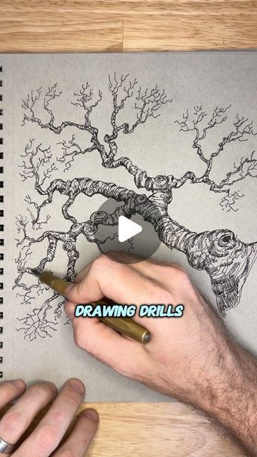 Sean Anetsberger on Instagram: "This is how you draw a gnarled tree branch in ink! Let that hand flow around and let the pen wiggle to find the shape of the tree. You can have a basic idea of what the shape will be but over all you want there to be random bumps and lumps around the outline. 
Drawing this tree was super fun and it allowed me to not worry about getting lines to be perfectly clean and orderly so give it a shot! 

Check out my drawing drills course by tap tap tapping through my profile! 

#artlessons #howtodraw #drawingtutorial #drawinglessons #artcoach" Gnarled Tree Drawing, How To Draw Branches, How To Draw Tree Branches, Pen Tree Drawing, Tree Pen Drawing, How To Draw A Tree, Tree Of Life Sketch, Tree Branch Drawing, Inking Drawing