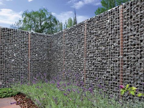 Gabion Fence Used for Privacy Wall, Garden Fence, Space Partition Gabion Fence Ideas, Design For Garden, Gabion Retaining Wall, Welded Wire Fence, Gabion Fence, Fence Plants, Modern Front Yard, Natural Fence, Gabion Wall