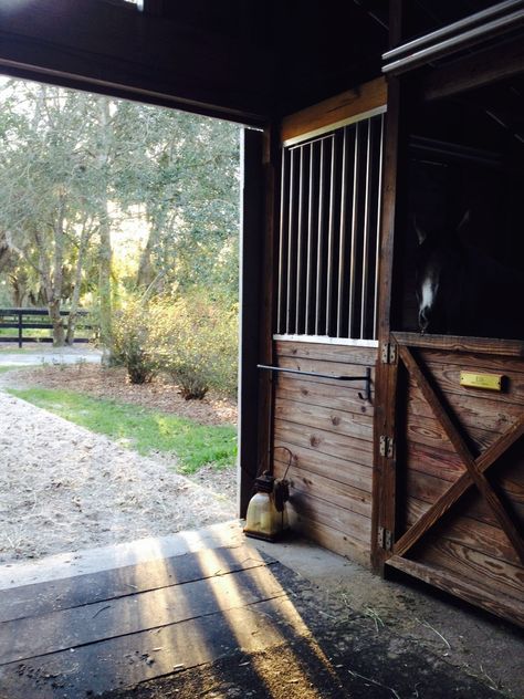 Help I've Fallen and I Cant' Giddy-Up Horse Stables Aesthetic, Western Stable, Stall Aesthetic, Stable Ideas, Dream Stables, Dream Horse Barns, Horse Barn Plans, Horse Facility, Barn Interior