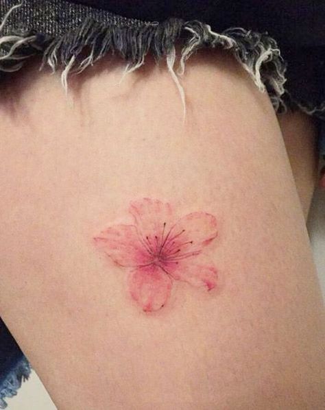 Flower Tattoos Designs, Wildflowers Tattoo, Sakura Tattoo, Disney Tattoo, Sunflower Tattoos, Tatuaje A Color, Cherry Blossom Tattoo, Blossom Tattoo, Tattoo Designs And Meanings