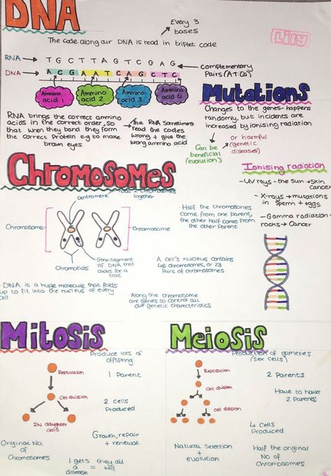 #lilysrevisionnotes #biology #gcse #cells #dna Dna Study Notes, Dna Notes Biology Aesthetic, Biology Revision Gcse Mitosis, Biology Dna Notes, A Level Biology Lipids, Structure Of Dna Notes, Crimeology Notes, Higher Human Biology Notes, Biology Notes Genetics