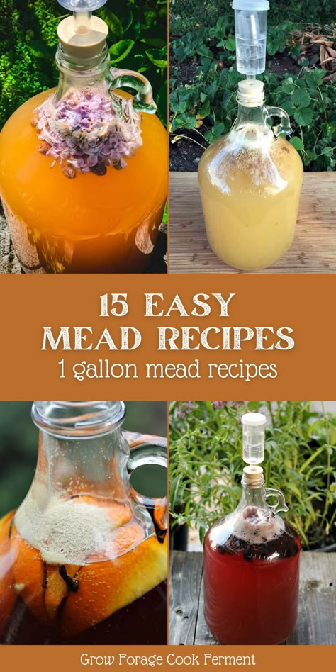 Diy Honey Meade, How To Make Mead Wine, Dandelion Mead Recipe, Raspberry Mead Recipe, Vanilla Mead Recipe, Mead For Beginners, Mead Recipe 1 Gallon Honey, Lemon Mead Recipe, Pineapple Mead Recipe