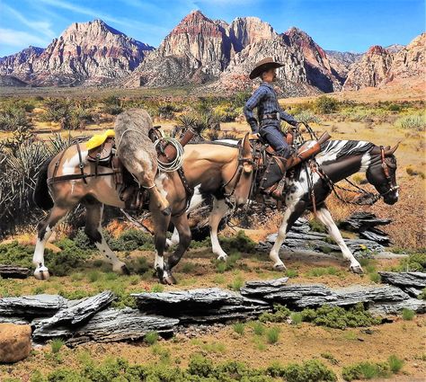 Horse Diorama, Cowboy Artists, Breyer Horse, Diorama Ideas, Horse Things, Breyer Horses, Model Horses, Horse Photography, Live Show