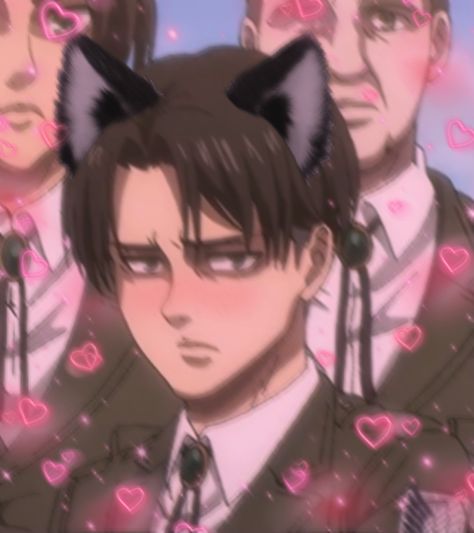 Levi Pfp Aesthetic, Funny Levi Ackerman, Levi Cat, Levi Ackerman Pfp, Levi Pfp, Levi Cute, Aot Pfp, Pixar Concept Art, Anime Cat Ears