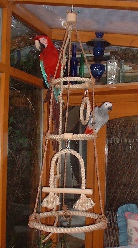 NEW NATURAL SISAL ROPE PERCH PARROT TOY SWING RINGS WITH BELL in Pet Supplies, Birds, Toys | eBay Macrame Bird Toys, Diy Parrot Perch, Parrot Toys Ideas, Bird Perch Diy, Bird Perch Ideas, Diy Bird Perch, Birds Toys, Homemade Bird Toys, Diy Parrot Toys