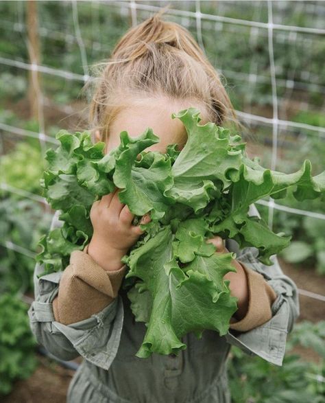 Garden Themes, Boxwood Garden, Farm Photos, Farm Lifestyle, Agricultural Practices, Children's Garden, Nature's Bounty, Garden Harvest, Down On The Farm