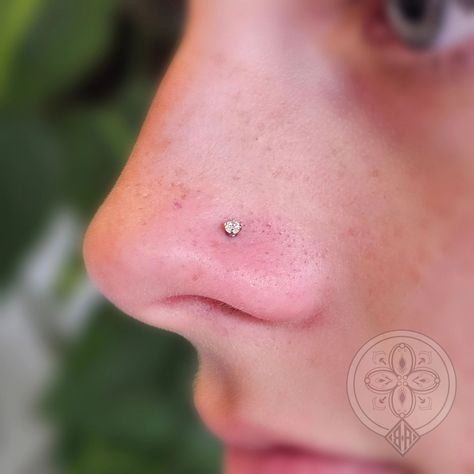 Classy little gold claw set cubic zirconia installed into this nostril piercing. 😍 Aesthetic Nose Piercing Stud, Tiny Nose Piercing Stud, Aesthetic Nose Piercing, Nostril Piercing Aesthetic, Tiny Nose Piercing, Nostril Stud, Beautiful Bridal Makeup, Tiny Nose, Nostril Piercing