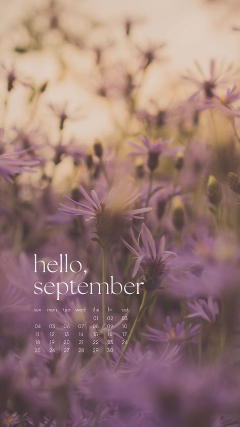 A cute calendar of september wallpaper with a purple flower field backgrounds September Wallpaper Aesthetic Iphone, Hello September Month, Hello September Aesthetic, September Wallpaper Iphone, Calendar Lockscreen, Aesthetic Lockscreen Iphone, Hello September Quotes, Organization Calendar, Lockscreen Iphone Quotes