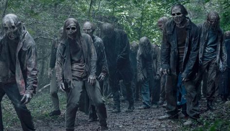 Netflix's 'The Walking Dead' confirmed the release date Check more at https://a-newss.com/netflixs-the-walking-dead-confirmed-the-release-date/ Walking Dead Zombie, Walking Dead Daryl Dixon, The Walking Dead Daryl, New Zombie, Walking Dead Zombies, Walking Dead Daryl, Dead Zombie, Daryl Dixon, Zombie Apocalypse