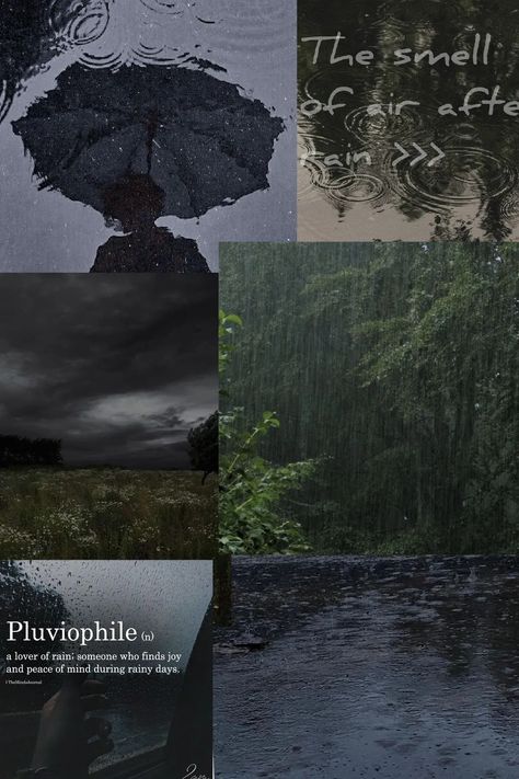 Pluviophile Aesthetic Wallpaper, Raining Aesthetic Wallpaper, Dark And Moody Aesthetic, Rainy Day Collage, Rainy Backgrounds, Pluviophile Aesthetic, Collage Quotes, Moody Images, Rainy Day Wallpaper