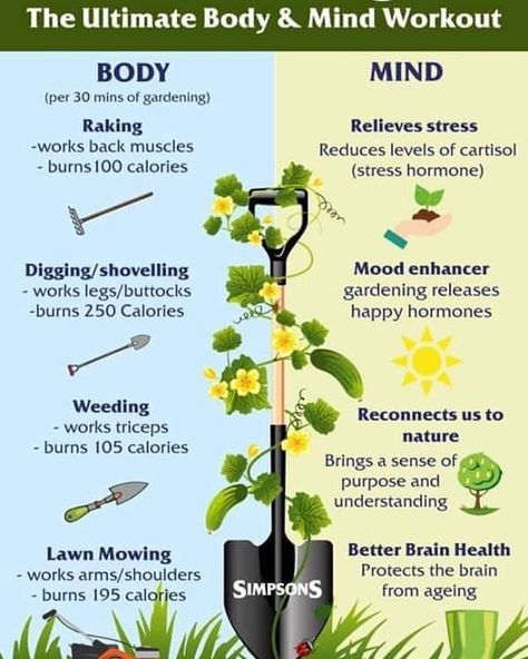 An interesting summary of the benefits of gardening 🌱⛅ We still all need our excercise and also something to keep us occupied and gardening is the perfect past time! ☺🌞🌱👨‍🌾👩‍🌾🌈 #gardeningmakesmehappy #gardening #plantsmakepeoplehappy #plantsplantsplants #gardeningtherapy  #holdenclough #allthingsgarden #since1927 #theplantspeople #homedelivery #ribblevalley #clitheroe #clitheroeplants #plantstoyourdoor National Heart Month, Horticulture Therapy, Heart Month, Benefits Of Gardening, Garden Rake, Healing Garden, Sensory Garden, Go To The Gym, Garden Quotes