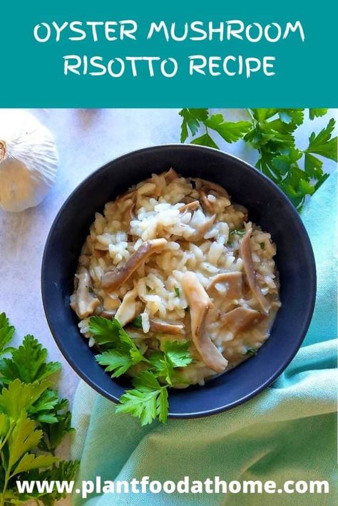 Blue Oyster Mushrooms Recipes, Wild Oyster Mushrooms Recipe, Oyster Mushroom Risotto, Wild Mushroom Risotto Recipes, Simple Mushroom Risotto, Vegan King Oyster Mushroom Recipe, Creamy Mushroom Risotto, Mushroom Risotto With Peas Nyt, Oyster Mushroom Recipe