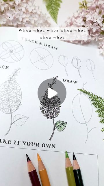 Aska Hall on Instagram: "Day 3 of drawing 50 flowers in 50 days... Today is the beautiful Lilac 😍 Book - The ultimate flower drawing guidebook - link in bio ✨  #artchallenge" How To Draw Lilacs Step By Step, Lilac Flower Drawing Simple, Lilac Sketch, Lilac Bush Drawing, Lilac Illustration Simple, Lilac Bouquet Drawing, Art Challenge, Guide Book, Flower Drawing