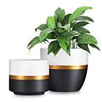 Gold Flower Pot, Planters Indoor, White Flower Pot, Painted Pots Diy, Small Flower Pots, Large Flower Pots, Flower Pot Garden, Aloe Plant, Plant Decor Indoor