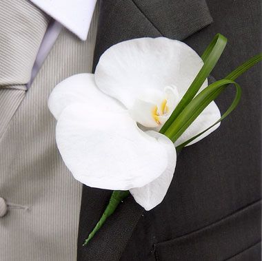 Phalaenopsis Orchid Buttonhole Phalaenopsis Orchid Bouquet Wedding, Orchid Pocket Boutonniere, Orchid Groom Boutonniere, Orchid Buttoniere, Orchid Buttonhole, November Wedding Flowers, Orchids Wedding, Orchid Boutonniere, Corsage And Boutonniere Set