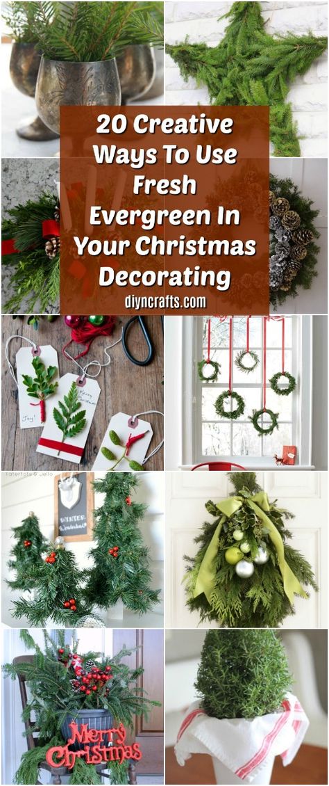 20 Creative Ways To Use Fresh Evergreen In Your Christmas Decorating #Christmas #decorating #evergreens #diy via @vanessacrafting Holly Decorations, Evergreen Christmas, O Christmas Tree, Outside Christmas Decorations, Christmas Creative, Greenery Decor, Homemade Christmas Decorations, Diy Christmas Wreaths, Christmas Greenery