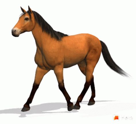 Horse Sticker - Horse - Discover & Share GIFs Horse Animation, Tiny Horses, Walking Horse, Unicorn Horse, Animated Animals, Funny Cartoon Gifs, Gif Pictures, Animated Images, Horse Care