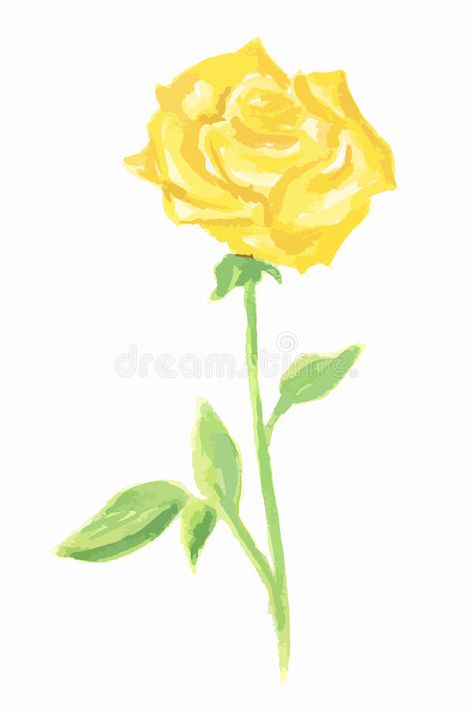 Watercolor Rose. Stock Vector - Image: 78207518 Yellow Rose Drawing, Single Yellow Rose, Rose Doodle, Yellow Rose Tattoos, Flower Romantic, Decoration Illustration, Rose Drawing, Roses Drawing, Background Beautiful