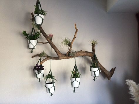 Stick Plant Hanger, Tree Branch Plant Hanger, Branch Plant Hanger, Fiddly Fig, Branch Shelf, Door Curtains Diy, Boho Hippie Home, Bottle Plant, Cat Tree Designs