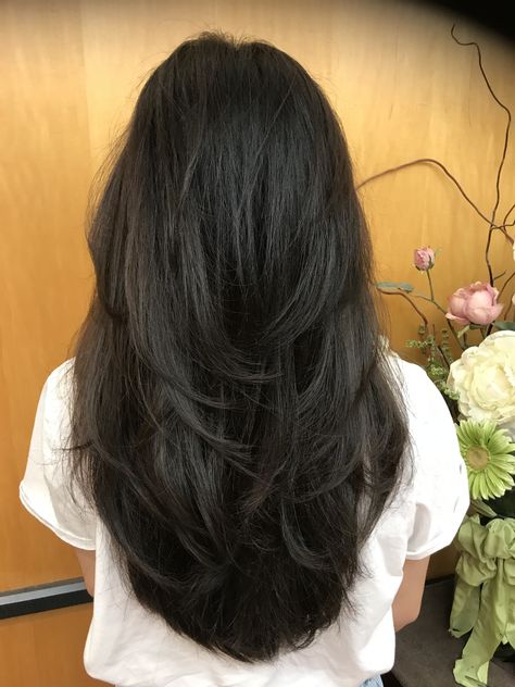 Long thick layer Bra Length Hair, Long Layered Bob, Black Hair With Highlights, Layered Bob, Long Black Hair, Thick Hair, Length Hair, Layered Hair, Long Black