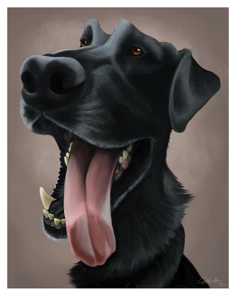 Tara Lab Caricature Commission by CharReed on DeviantArt Dog Caricature, Animal Caricature, Dog Anatomy, Custom Pet Art, Puppy Art, Dog Sketch, Canine Art, Holiday Gift Ideas, Dog Illustration