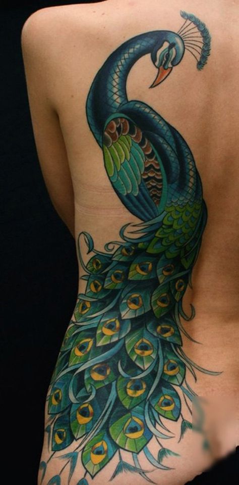 Knots Tattoo, Peacock Tattoos, Tattoo Side, Girl Shoulder Tattoos, Tattooed Lady, Peacock Feather Tattoo, Peacock Tattoo, Tattoo Mandala, Back Of Shoulder Tattoo