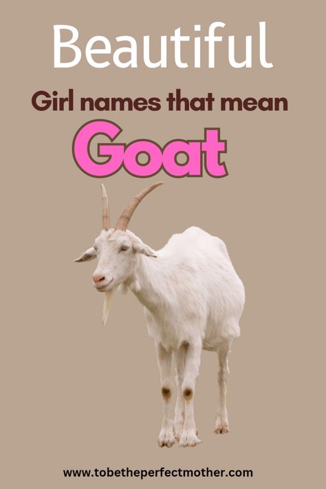 Girl names that mean goat Goat Names, Strong Girl Names, List Of Girls Names, Indian Names, Life Recently, Feminine Names, Strong Names