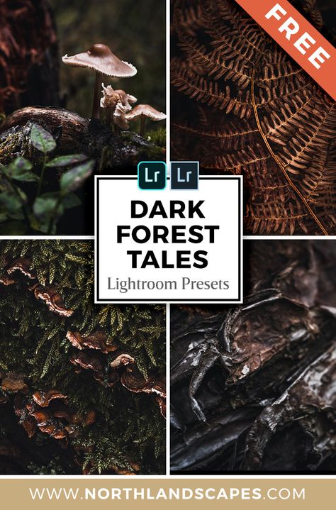 Best Presets For Lightroom, Free Lightroom Preset, Lightroom Presets Free Download, Dark Forest Photography, Lightroom Free Presets, Lightroom Tutorial Photo Editing Dark, Dark Lightroom Presets, Lightroom Mobile Presets, Light Room Presets Free